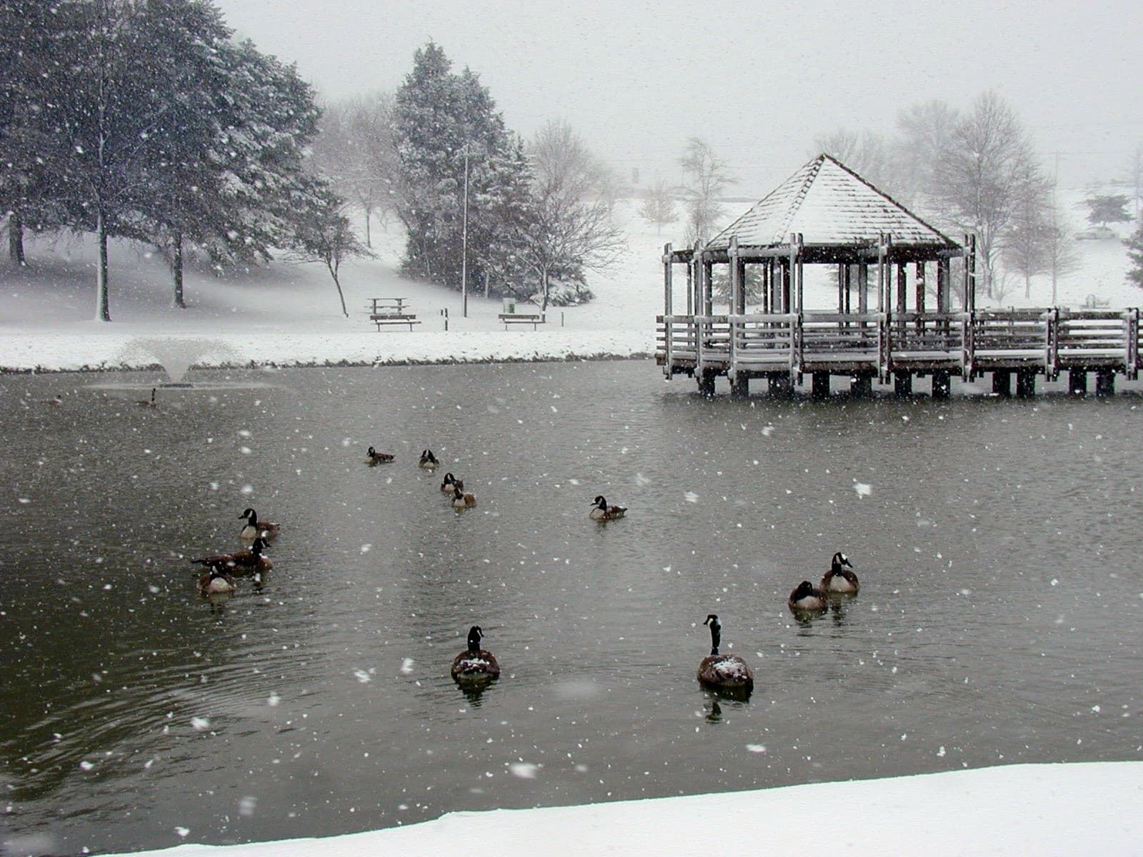 Ballwin, Missouri