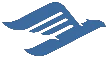 Eagle Direct Primary Care logo