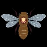 Sage Root Health logo