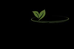 Veritas Integrative Medicine logo