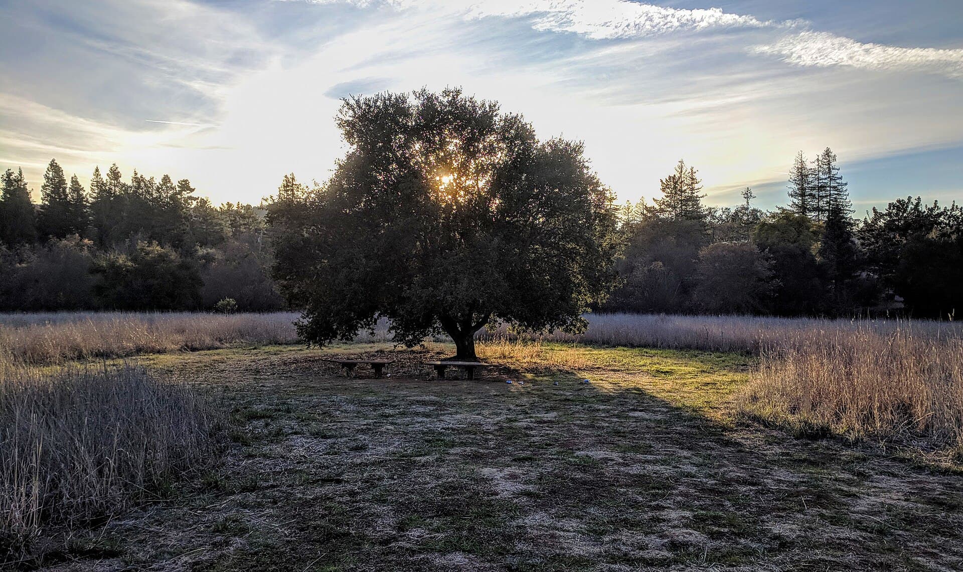 Palo Alto, California