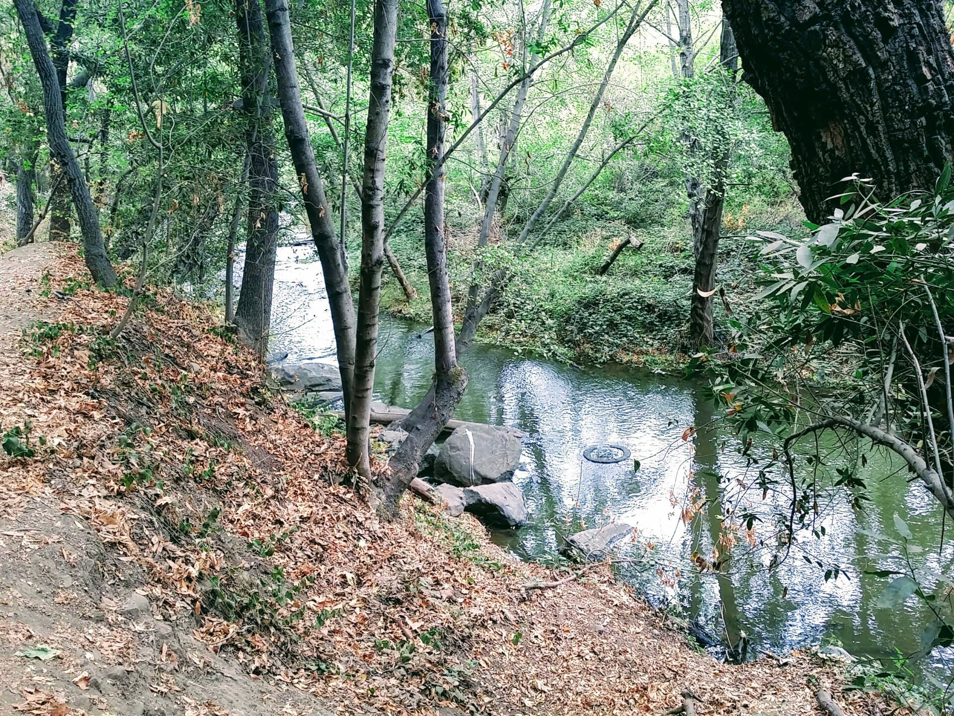 Los Gatos, California